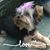 Teresa Giffin's profile image
