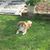 Sandy Ramage Sterner's profile image