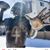 David Pilon's profile image