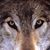 Joe Kearns's profile image