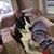 Annie Halter Glasser's profile image