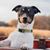 Gina Marie Piscione's profile image