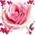Leslie Ribble's profile image