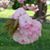 Donna G Holbert's profile image