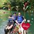 Kimberly S. Hodges's profile image
