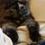 Dee Ewell's profile image