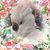 Brenda Richard-Milligan's profile image