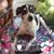Cookie Tucker's profile image
