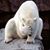 Carolyn Wright's profile image