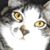 Randall Tournear's profile image