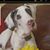 Krysta Berkfield's profile image