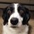 Tammy Barslund's profile image