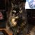 Darrell Allen Morton's profile image