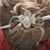 Jodi Dandridge's profile image