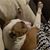Amanda Gonzalez Walters's profile image