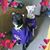 Mary Spencer-mcgarry's profile image