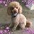 Gretchen Kreitz's profile image