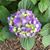 Jeanne Woodruff's profile image