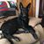 Karen Sulich Juser's profile image