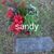 Anita Smith Lindquist's profile image