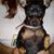 Valerie Wood's profile image
