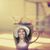 Yvette McCarroll's profile image