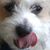 Virgil Oco's profile image