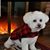 Kimberly McGill Chevalley's profile image
