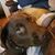 Dorothy Sandeen Pettengill's profile image