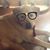 Shari Westerlund Carter's profile image