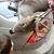 Scotty Pinson's profile image