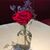 Deborah Vlahos's profile image