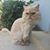 Michelle Johnson's profile image