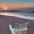 Debbie Keene May's profile image