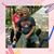 Kim Morris-Ward's profile image