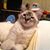 Deanna L Soirez's profile image
