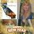 Judi Branham's profile image