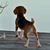 Cricket Robbins Merritt's profile image