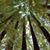 Lisa Mayeda Tanita's profile image