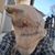 Nicholas P Roach's profile image