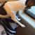 Shannon Daugherty's profile image