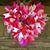 Mary Christensen Stinson's profile image