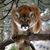Cheryl Holts's profile image
