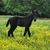 Jennifer Arrington's profile image