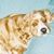 Christian Duque's profile image
