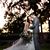 Tiffini Ritterbusch's profile image