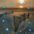 Tina Hollinger's profile image
