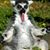 Belinda Jo's profile image