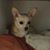Mari Cuevas Carlos's profile image