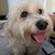 Shannon Astorga-Nieto's profile image